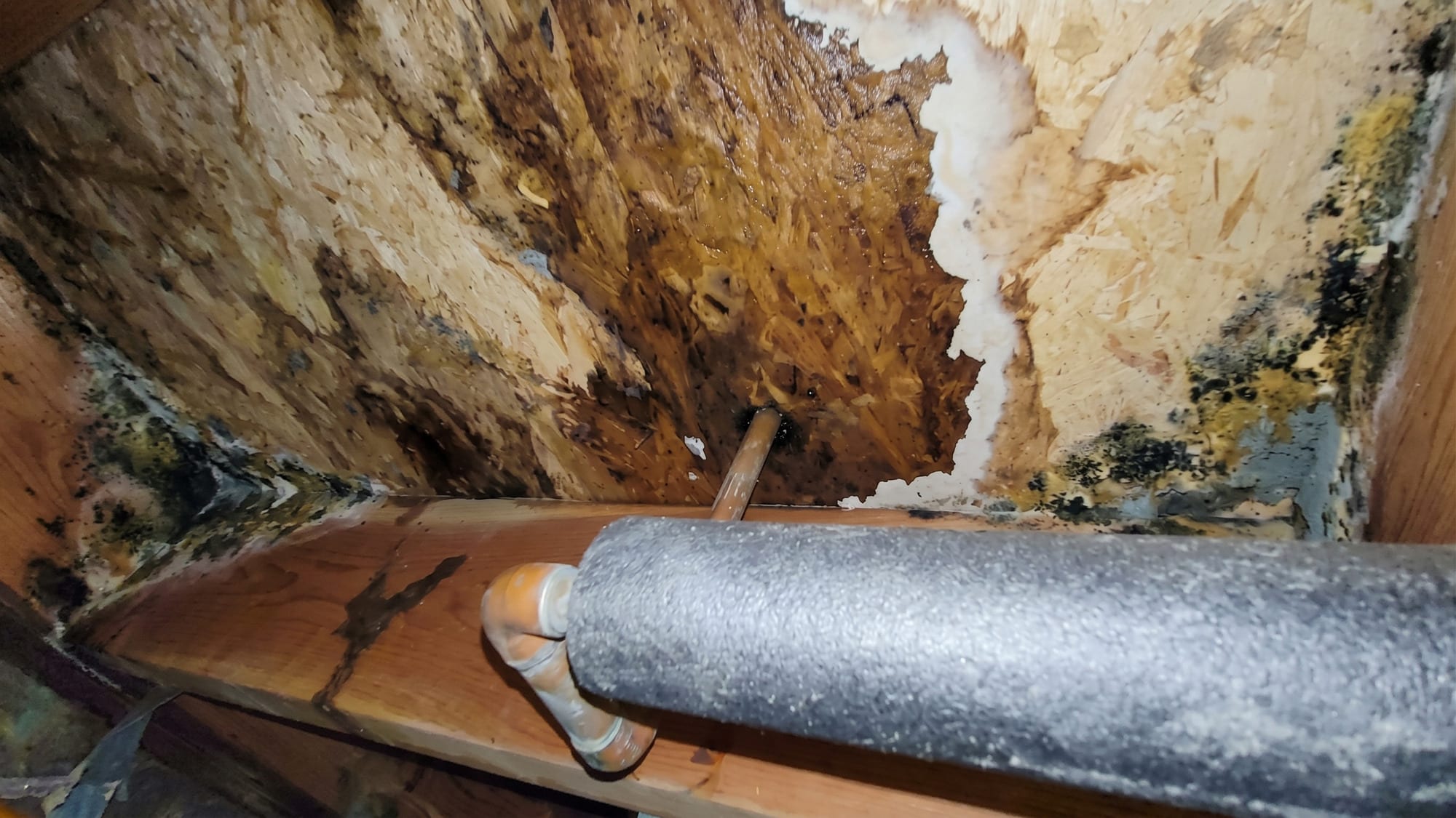 Water-stained, decaying roof sheathing in an attic