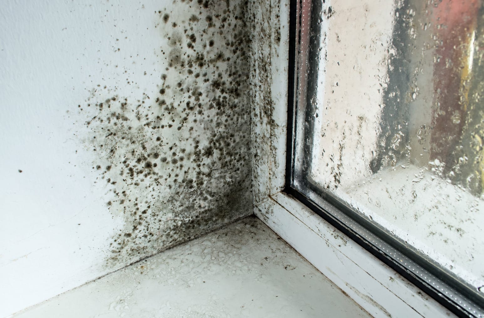 Black mold spreading across a wall corner next to a window